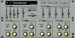 DSK Electrik GuitarZ / DSK Music